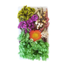 Pressed Flowers Bulk Kit for Resin Crafts