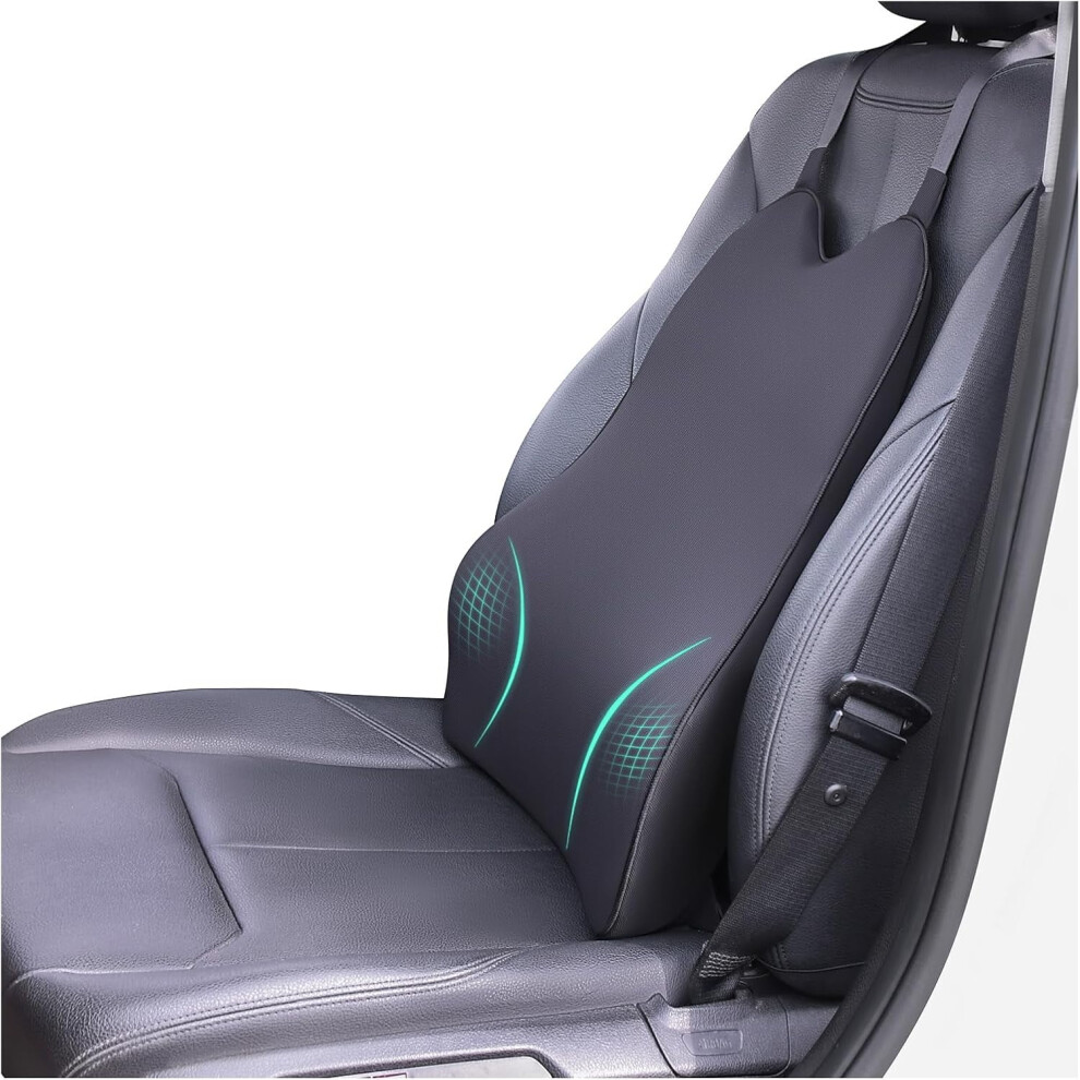 Lumbar Support Pillow For Car Â Memory Foam Â Dual 971050347806