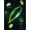 LED reflective walking belt green rechargeable 8