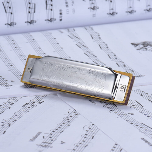 Folkmaster Standard diatonische mondharmonica, A-sleutel, 10 gaten 1