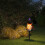 Halloween Solar Pathway Lights Weather-Resistant Resin4 6