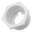 Pool Wall Fitting Hex Head for Polaris Cleaners 1.8 inch 1
