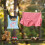 Clothes Pin Hanging Bag Set 2 pcs Machine Washable 3