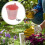 Galvanized Metal Ice Bucket with Handle Pink 5 Pcs 8