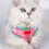 Cat Harness and Leash Set Adjustable Breathable Reflective 5