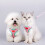 Cat Harness and Leash Set Adjustable Breathable Reflective 6