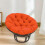 Æggestolshynde Orange 40 cm 1