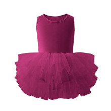 Girls Ballet Leotard Sleeveless Mesh Tutu Dress Purple Size