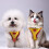 Escape-Proof Cat Harness and Leash Set Yellow 5
