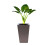 Self-Watering Planters with Drainage Holes3-Pack 8