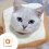 Adjustable Cat Recovery Collar Soft Cotton Neck Cone 5