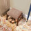 Moderion Small Footstool Solid Wood Legs 13.4 Inch 4