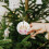 Pink Rose Ceramic Christmas Ornament with Crown 2-Side 7