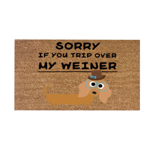 Welcome Decoration Mat, Dog Door Welcome Mat, Cute Funny Dog Door Welcome Mat Bedroom Living Room Decoration Mat (1Pc)