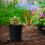 Pots de fleurs souples avec trous de drainage, noirs, taille unique 5