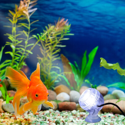 Color Changing LED Fish Bowl Light Waterproof Small Aquarium Night Light White