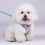Breathable Reflective No-Pull Dog Harness with Handle 4