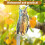 Reflective Hanging Owl Decoy 2 pcs 4