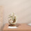 Geometric Acrylic Sculpture Abstract Home Decor 2