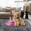 Modern washable area rug dark grey 4 ft x 6 ft 6