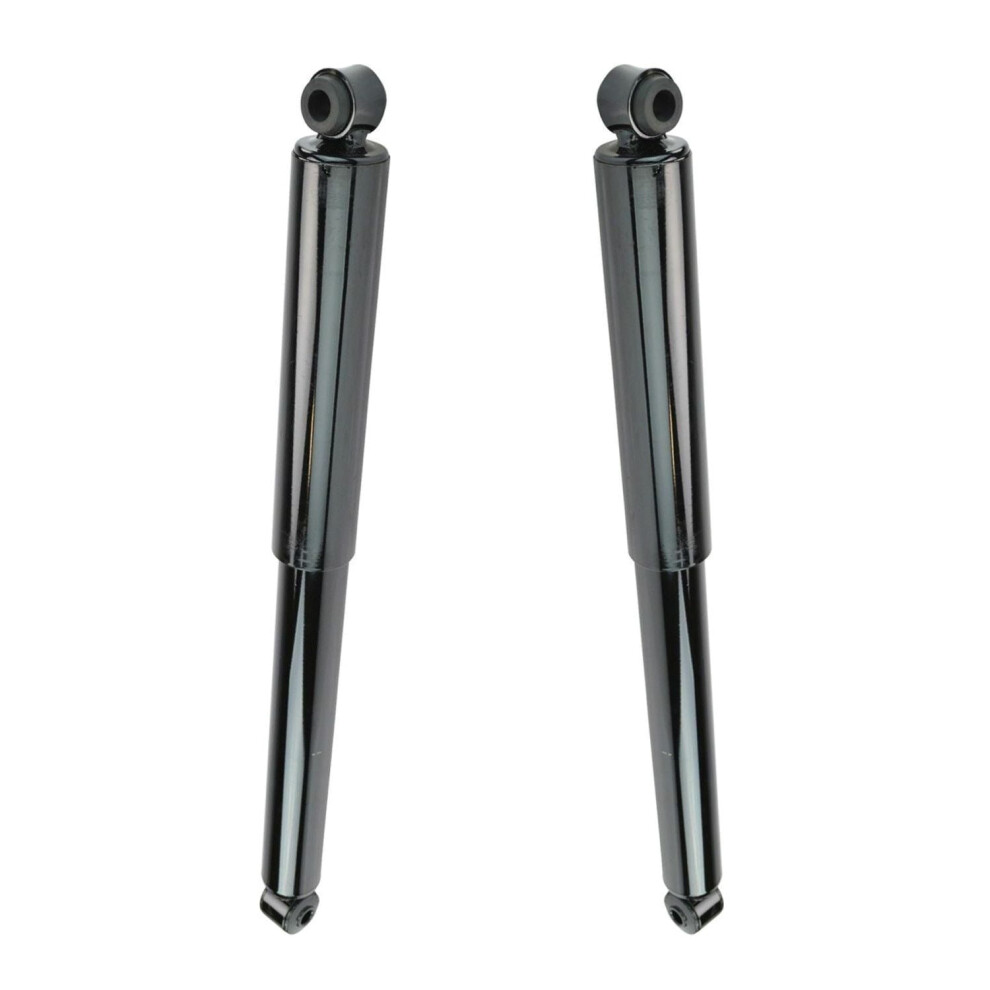 Rear Suspension Strut Shock Absorber Pair For F150 F250 939152693214