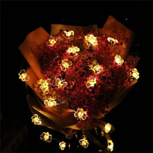 Lámpara de cadena LED de cobre Feledorashia para decoración navideña