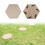 Hexagonal Beige Stepping Stones with Ground Stakes 1