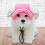 Pet Sun Hat Polyester Mesh Wide Brim Soft Outdoor Cap 3
