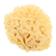 Natural Sea Sponge for Art and Craft Soft Absorbent 1 Piece