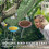 Hanging Bird Bath and Feeder Set Gray Plastic 2Pack 4