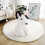 Soft Bull Terrier Plush Pillow 12 inches 2