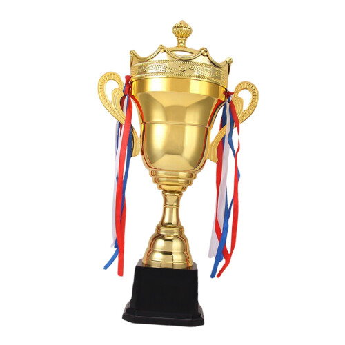 Trophy Cup Prize Decoration Metal Keepsake 35cm 2