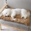 Warm Washable Cotton Dog Bed for Small to Medium Pets 5