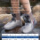 Waterproof Shoe Covers Unisex PVC 1 Pair 5