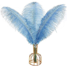 Ostrich Feathers Baby Blue Natural 12 Pcs 40-45 cm