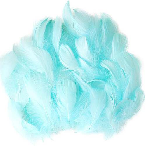 DIY Feather Craft Kit for Kids Animal Art Project