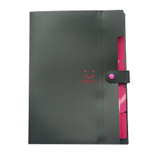 A4 Plastic Expanding Hanging Folder with Colored Tabs
