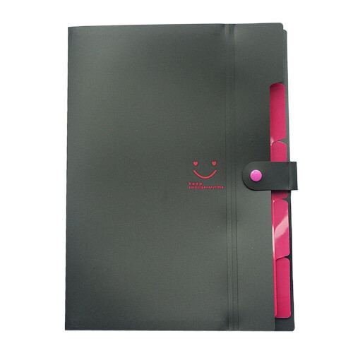 A4 Plastic Expanding Hanging Folder with Colored Tabs
