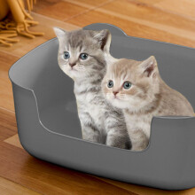 Open Cat Litter Box with High Sides and Low Entry