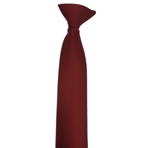 Men's and Women's Polyester Pre-Tied Necktie Adjustable
