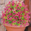 Artificial Flowers with Ground Stake 22 inch 6