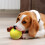 Interactive Dog Toy Rolling Smart Rotary Toy Type-C 5