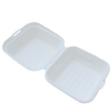10 Pack Disposable Food Containers, Eco Friendly Sugarcane Pulp Cake Snack Boxes, Microwave Safe Bento Lunch Boxes White