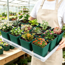 5 Pack 17"X11" Clear Seed  Trays Heavy Duty Plastic Nursery Seedling Trays Transparent Fo Seed Propagation