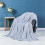 Polyester Blanket Soft Warm Solid Color 1pc 2