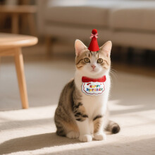 Small Dog Cat Birthday Hat Scarf Set, Cute Pet Birthday Bandana Party Supplies Puppy Happy Birthday Decorations Embroidered Birthday Gift