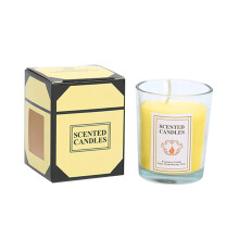 Yankee Candle Vanilla Lime Scented, Classic Large Jar Single Wick Candle, Over 110 Hours of Burn Time