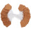 Kraft Paper Hang Tags with String 200 pcs 4