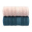 Cotton Bath Towels 600 GSM 2-Pack Turkish Towels 1