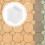White PP Hexagon Stepping Stone Mold 6-Sided 4